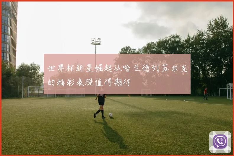 世界杯新星崛起从哈兰德到苏尔克的精彩表现值得期待