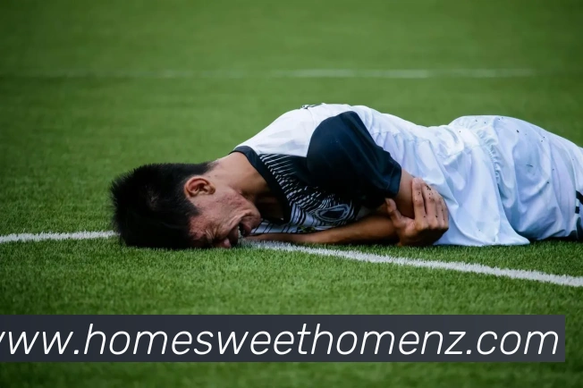 乐鱼手机官网入口leyu发展历程
